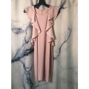 NWT BCBG Light Pink “Jenni” Ruffle Dress